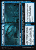 Underwater Tunnel // Slimy Aquarium — DSK #79 normal Magic card