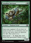 Loxodon Surveyor — DFT #167 normal Magic card